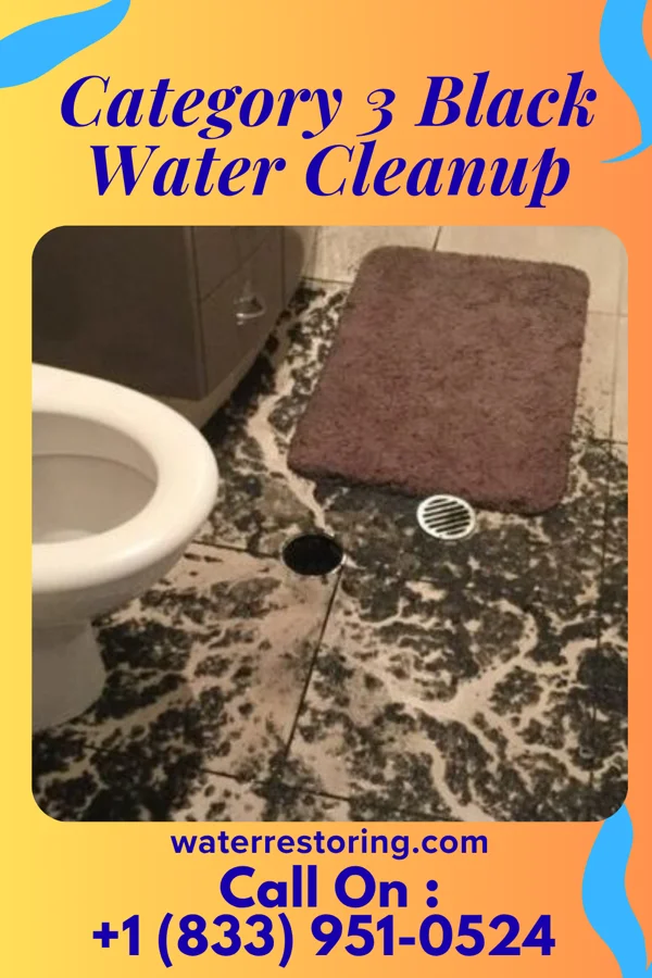 Category 3 Black Water Cleanup in Moorestown-Lenola, NJ