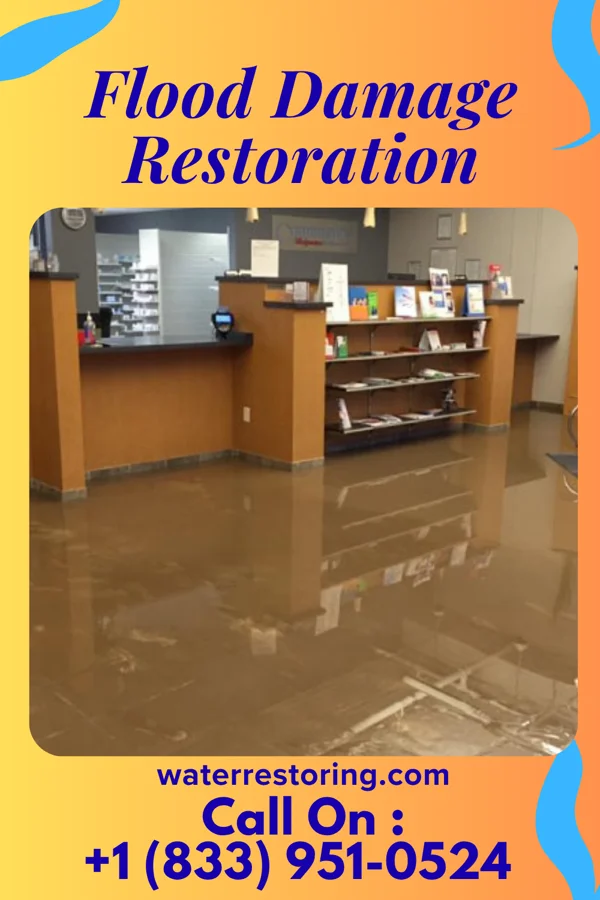 Flood Damage Restoration in Moorestown-Lenola, NJ