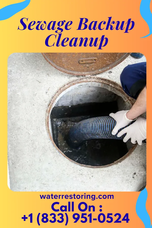 Sewage Backup Cleanup in Moorestown-Lenola, NJ