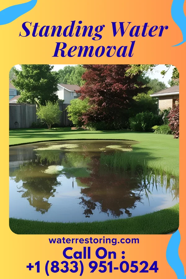 Standing Water Removal in Moorestown-Lenola, NJ